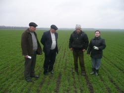 Фитосанитарное обследование посевов озимой пшеницы в СПК колхозе "Полярная звезда" Кочубеевского района Ставропольского края (05.04.2011 г.)